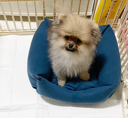 평생 함께할