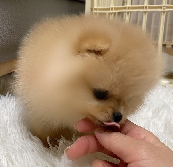 너무 좋아요