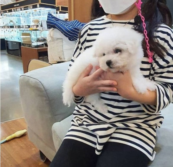 우리집에 막내가 생겼어요.