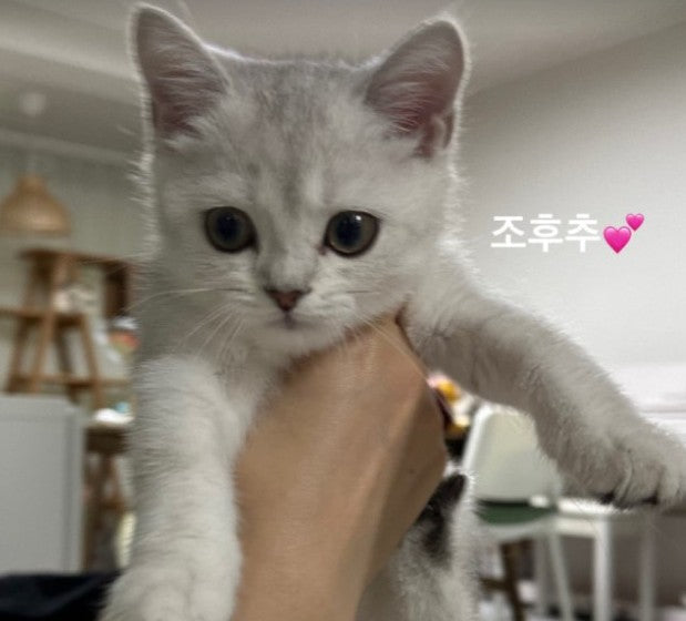 둘째도 미니펫수원점과했어요