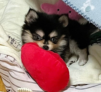 똥꼬발랄 건강한 우리 아기~