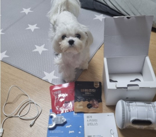 미니펫 강남점 출신 여울이 근황!