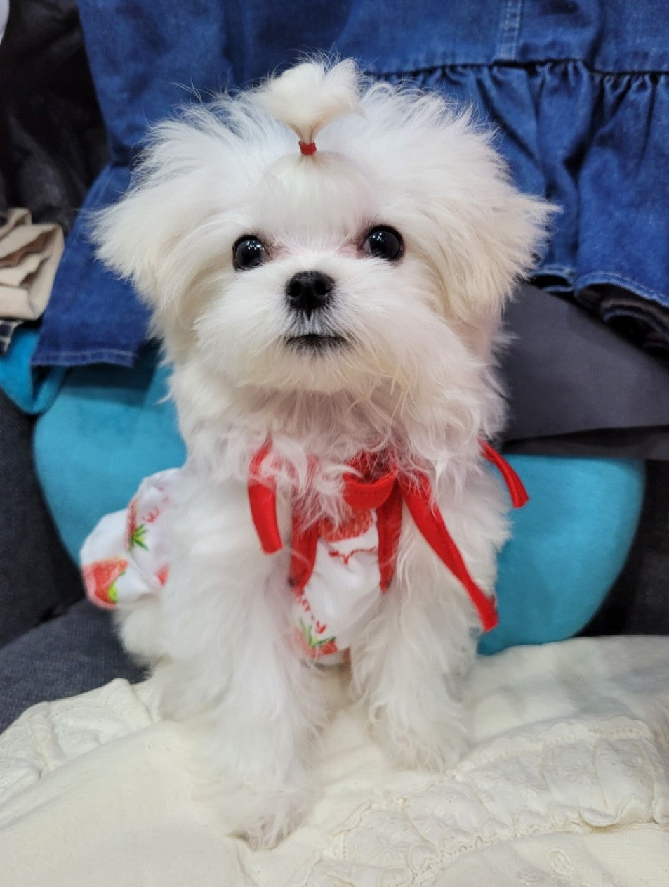 우리 꼼꼼이 잘 자라고 있어요.