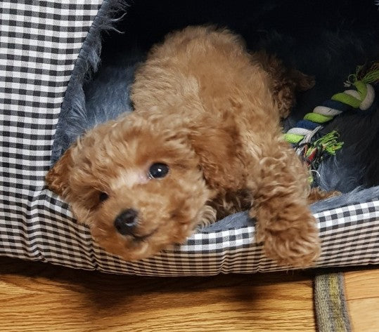 우리 하루^^