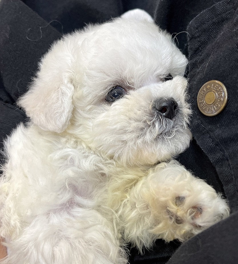 하늘이 즐겁게 잘 크고 있어요