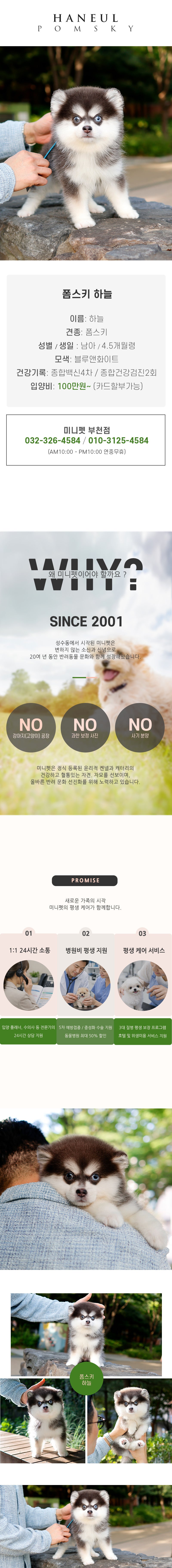 폼스키 – 하늘(남아)
