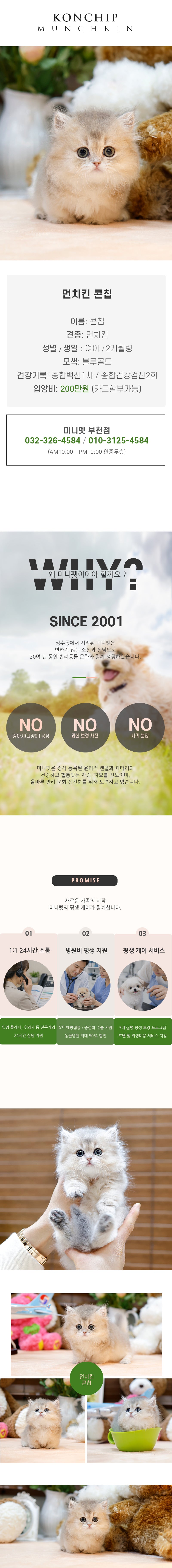 먼치킨 - 콘칩 (여아)