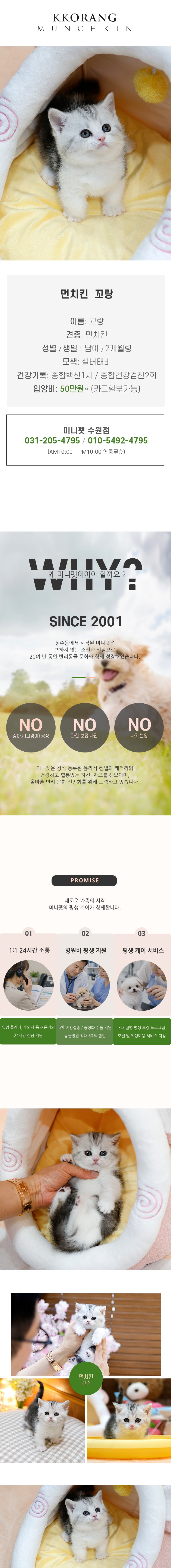 먼치킨 - 꼬랑 (남아)