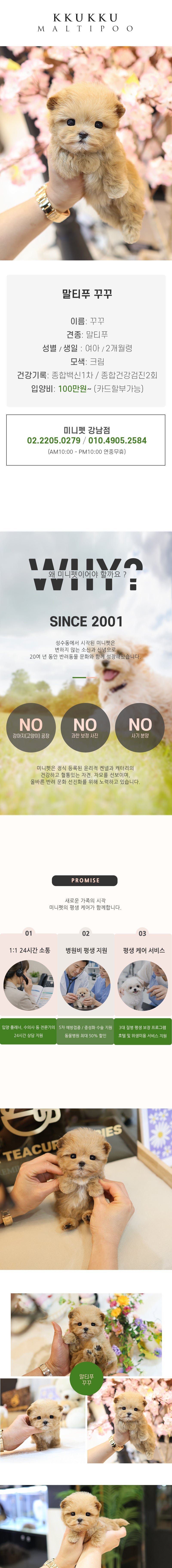 말티푸 - 꾸꾸 (여아)