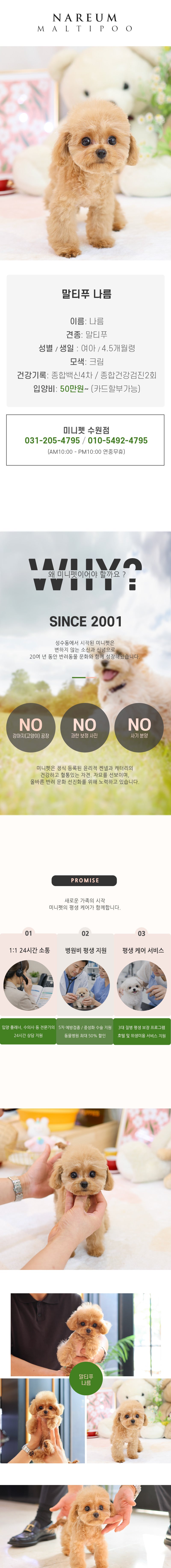 말티푸 – 나름 (여아)