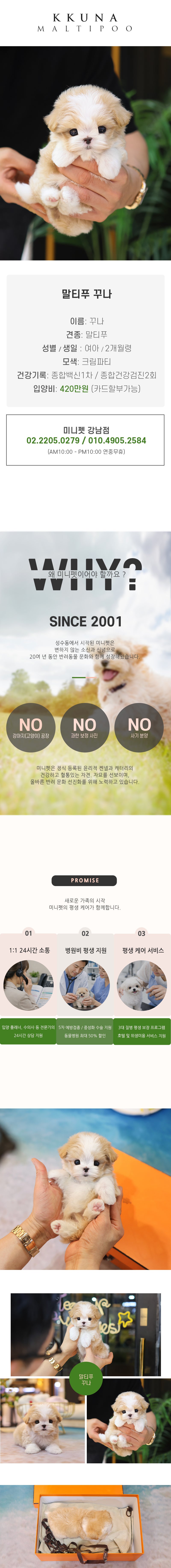 말티푸 - 꾸나 (여아)