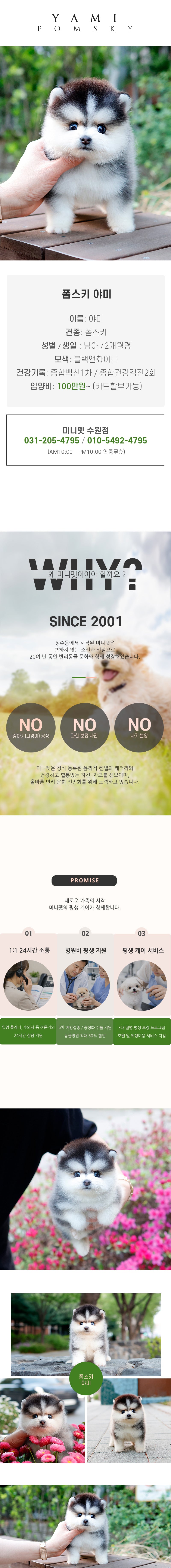 폼스키 - 야미 (남아)