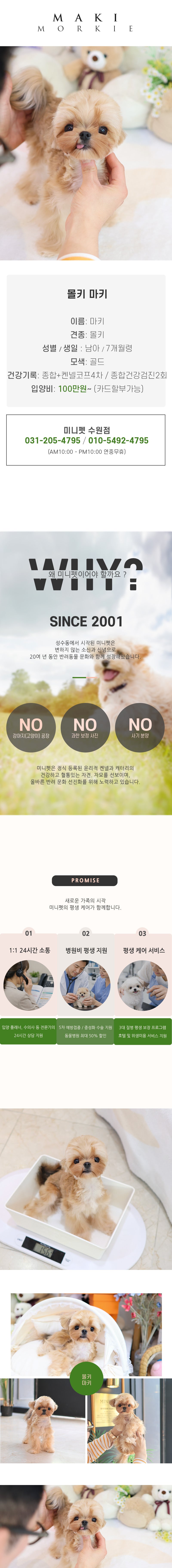 몰키 - 마키 (남아)