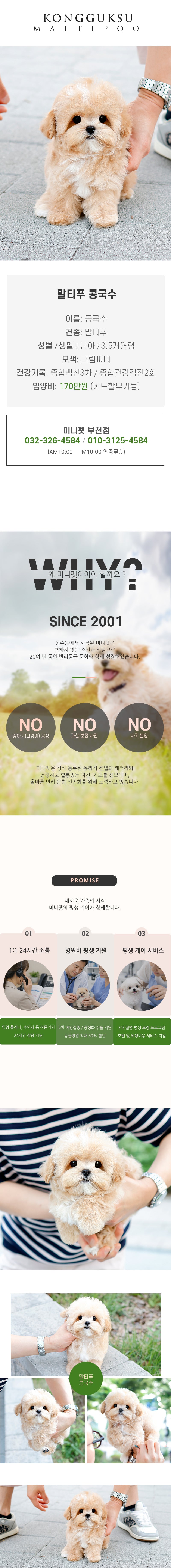 말티푸 - 콩국수 (남아)