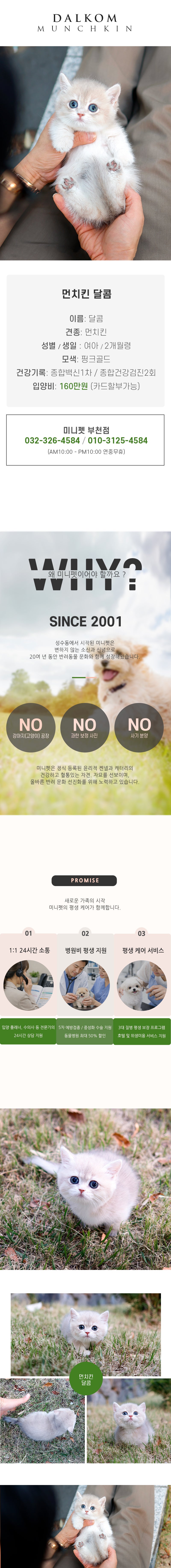 먼치킨 - 달콤 (여아)